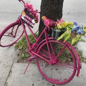 Meet your Posher, Vanessa